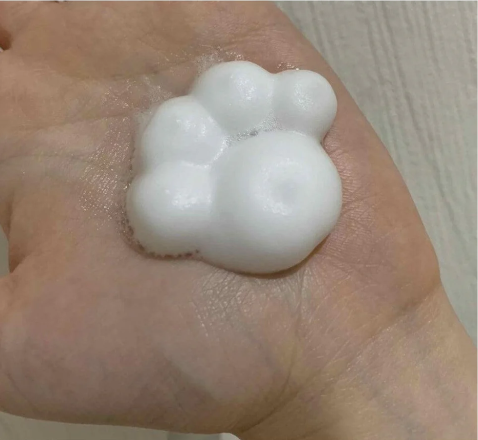 KAO Biore Foaming Hand Wash 240ml