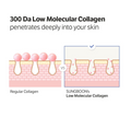 An informational comparison graphic for SUNGBOON's 300 Da Low Molecular Collagen. The top text reads '300 Da Low Molecular Collagen penetrates deeply into your skin'. Sungboon Editor Deep Collagen Power Boosting Cream In Serum 30ml