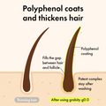 An informational graphic showing two hair follicle illustrations with polyphenol coating. The left follicle is labeled 'Thinning hair' and the right follicle is labeled 'Polyphenol coating' and 'Patent complex stay after washing,' with the headline 'Polyphenol coats and thickens hair. Grabity Hair Lifting Water Conditioner 270ml