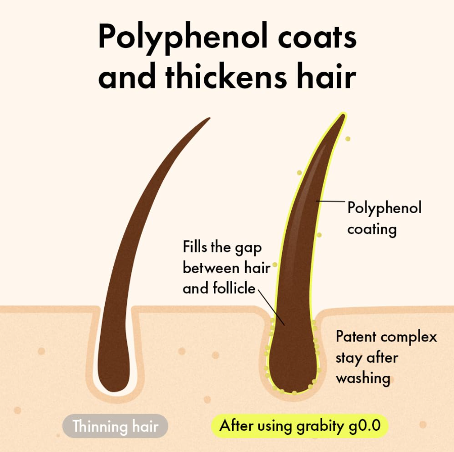 An informational graphic showing two hair follicle illustrations with polyphenol coating. The left follicle is labeled 'Thinning hair' and the right follicle is labeled 'Polyphenol coating' and 'Patent complex stay after washing,' with the headline 'Polyphenol coats and thickens hair. Grabity Hair Lifting Water Conditioner 270ml