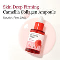 Camellia Collagen Ampoule bottle with text on a white background, Round Lab Camellia Deep Collagen Firming Ampoule 30ml