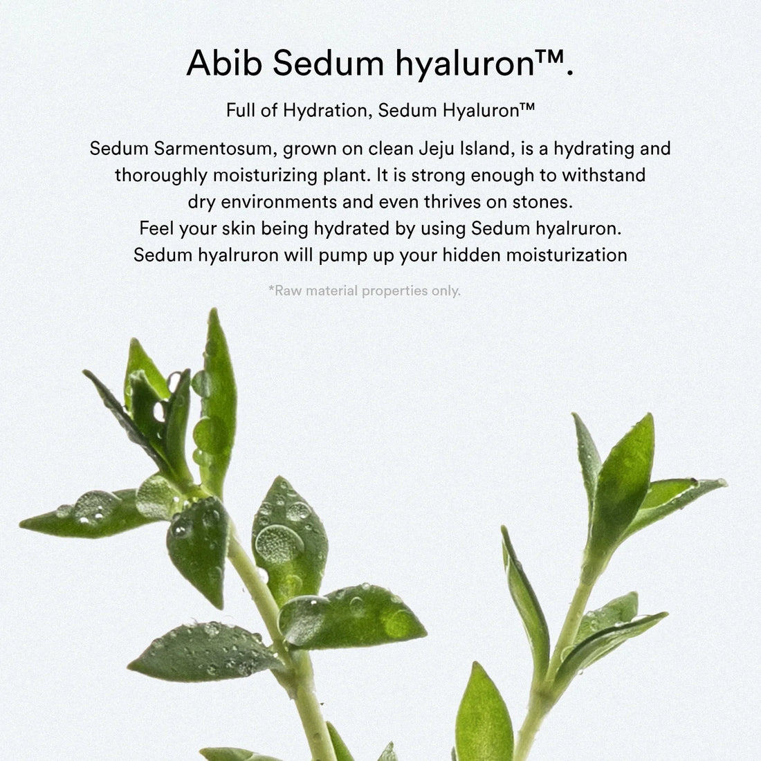 Abib Sedum Hyaluron Creme Hydrating Pot 80ml