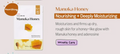 Etude House 0.2 Therapy Air Mask Manuka Honey 1pc