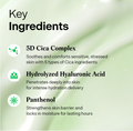 List of key ingredients with icons and descriptions on a green background