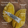 Hetras Mango Seed Butter Lip Essence 13g*2EA