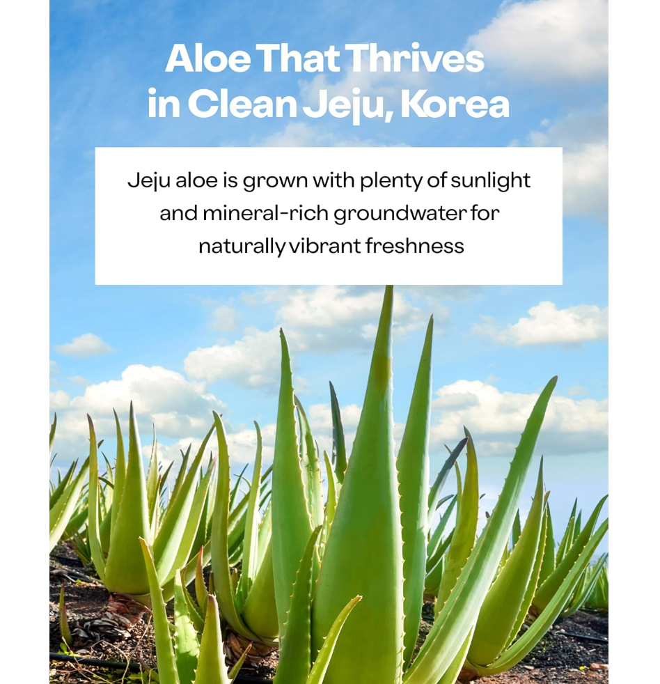 Aloe plants with a blue sky and clouds in the background, promoting Jeju aloe from South Korea, Holika Holika Aloe 99% Soothing Gel 250ml