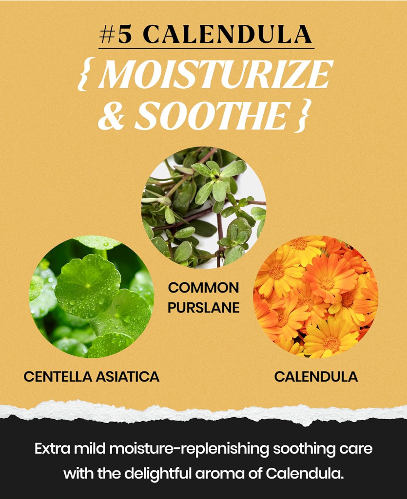 Promotional graphic for Calendula with images of common purslane, Centella Asiatica, and Calendula flowers on a beige background, Lindsay Calendula Modeling Mask Cup Pack 28g