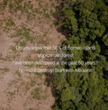 Aerial view of a tropical rainforest with deforested area, text about forest destruction, and Mixsoon branding, Mixsoon Vegan Melting Lip Balm 01 Clear 4.1g