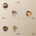 Chart categorizing scents into Fruity, Floral, Green, and Woody categories with corresponding images and labels, Hetras Hand Cream Mango Seed Butter Hotel Wood 50ml