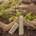 Two lip balm products on a natural background with 'Tree Gift for Nature' text, Mixsoon Vegan Melting Lip Balm 01 Clear 4.1g