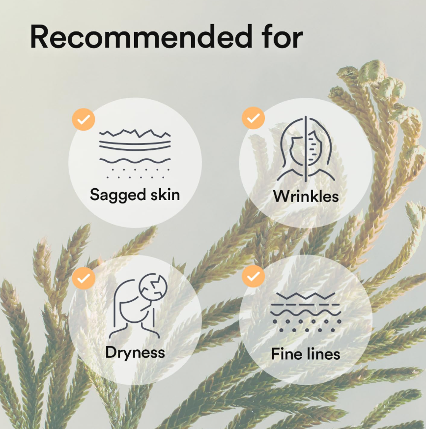 Product recommendations for sagged skin, wrinkles, dryness, and fine lines with a natural background, Abib Collagen Gel Mask Jericho Rose Jelly 4ea