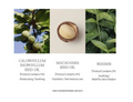 Three images of macadamia nuts and leaves with product ingredient labels on a white background, Sioris Deep In a Barrier Cream 50ml