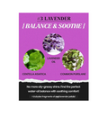 Product packaging for lavender with images of lavender, centella asiatica, and common purslane on a purple background, Lindsay Lavender Modeling Mask Cup Pack 28g