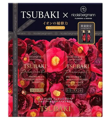 Premium EX Set - Intesive Repair Shampoo and Conditioner- 400ml + 400ml