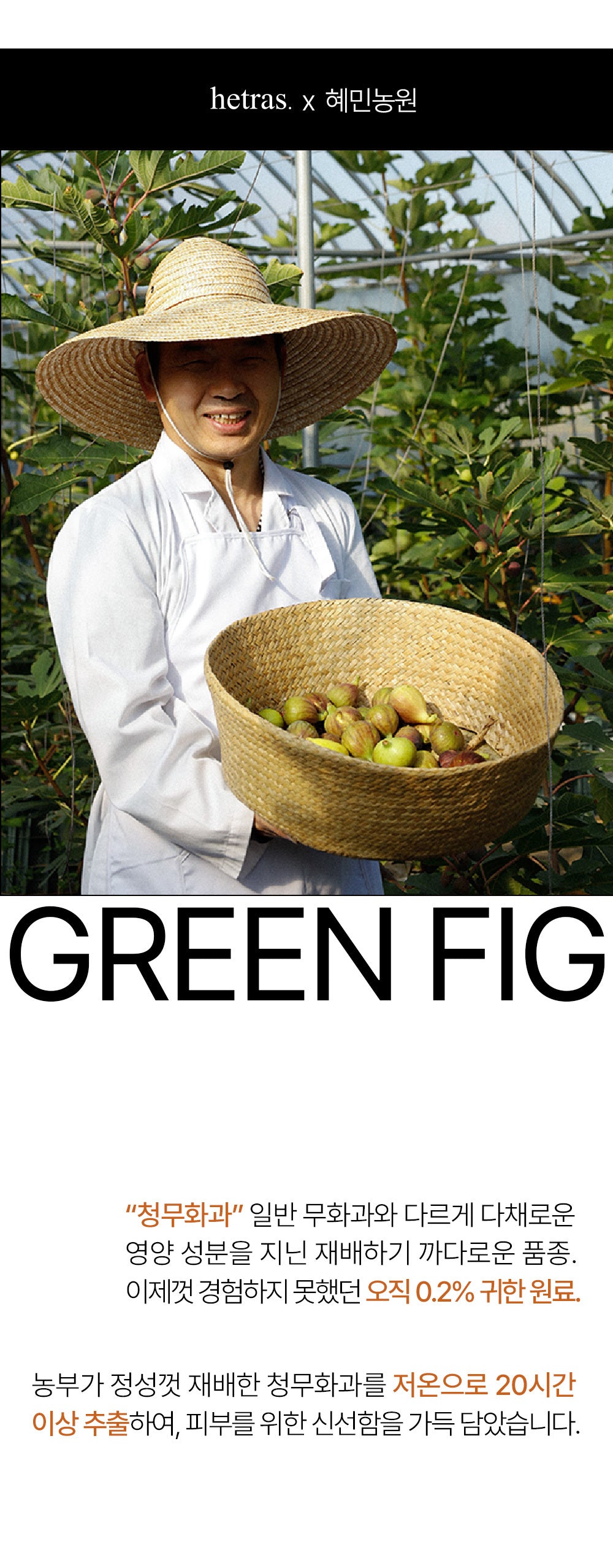 hetras Hotel Therapy Body Lotion green fig ingredient story